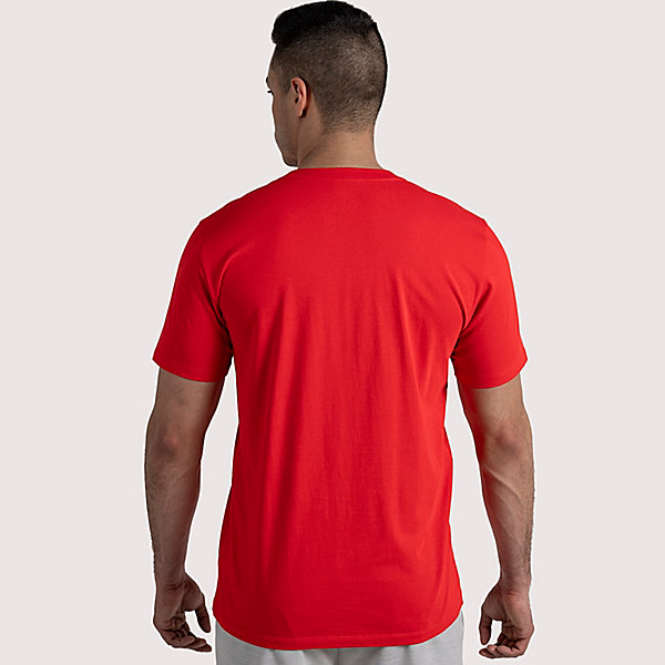 Tee Męskie Altra Everyday Recycled Czerwone Białe | Polska-84593